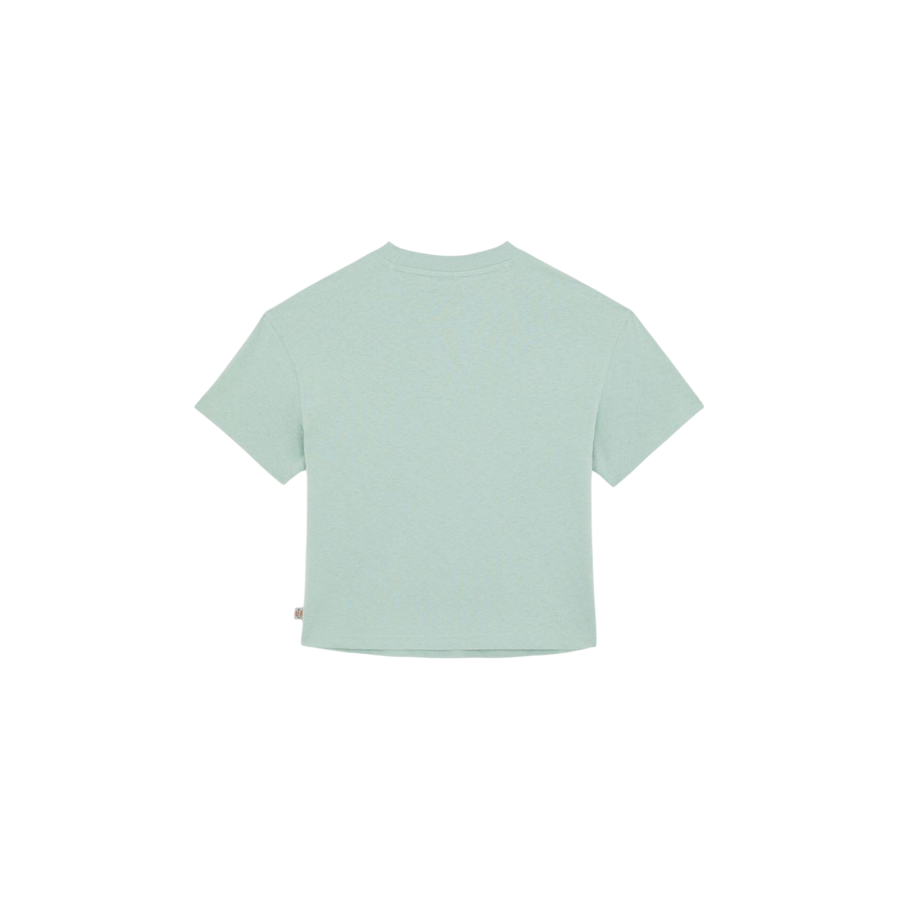 Dickies maglietta manica corta da donna Oakport DK0A4XEDBLK361 salvia3