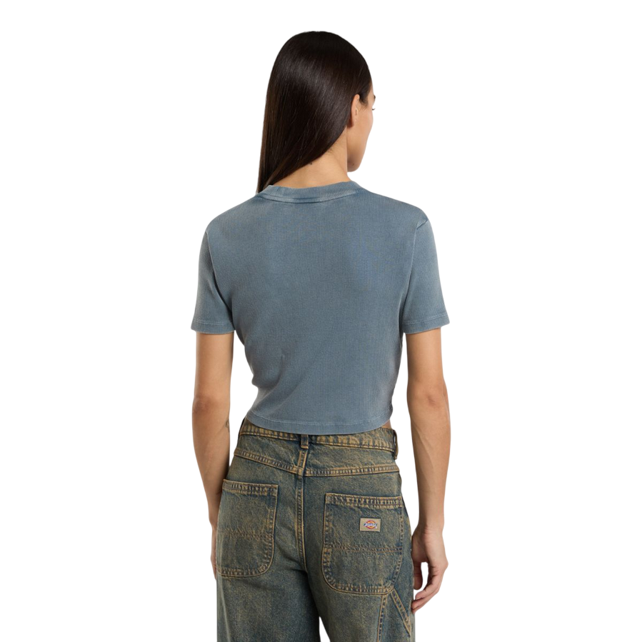 Dickies maglietta manica corta da donna a coste Plentywood DK0A866FG701 nuvole grigie1