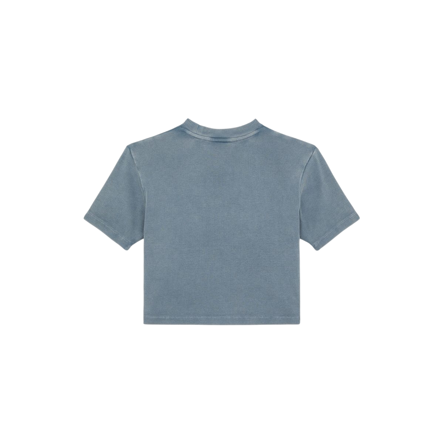 Dickies maglietta manica corta da donna a coste Plentywood DK0A866FG701 nuvole grigie3