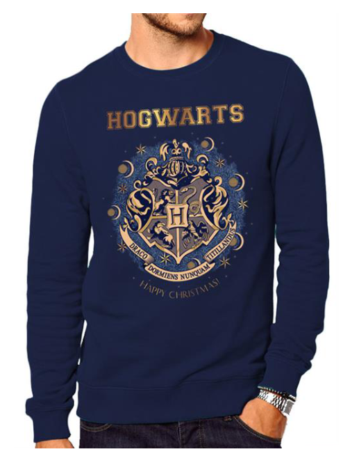 Felpa Harry Potter Uomo Blu 5054015420822 - Merchandising Ufficiale Hogwarts