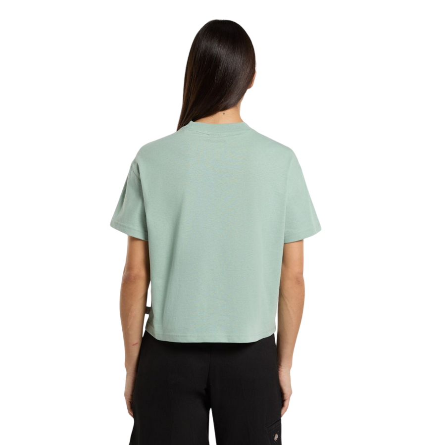 Sportiamo_Dickies maglietta manica corta da donna Oakport DK0A4XEDBLK361 salvia1
