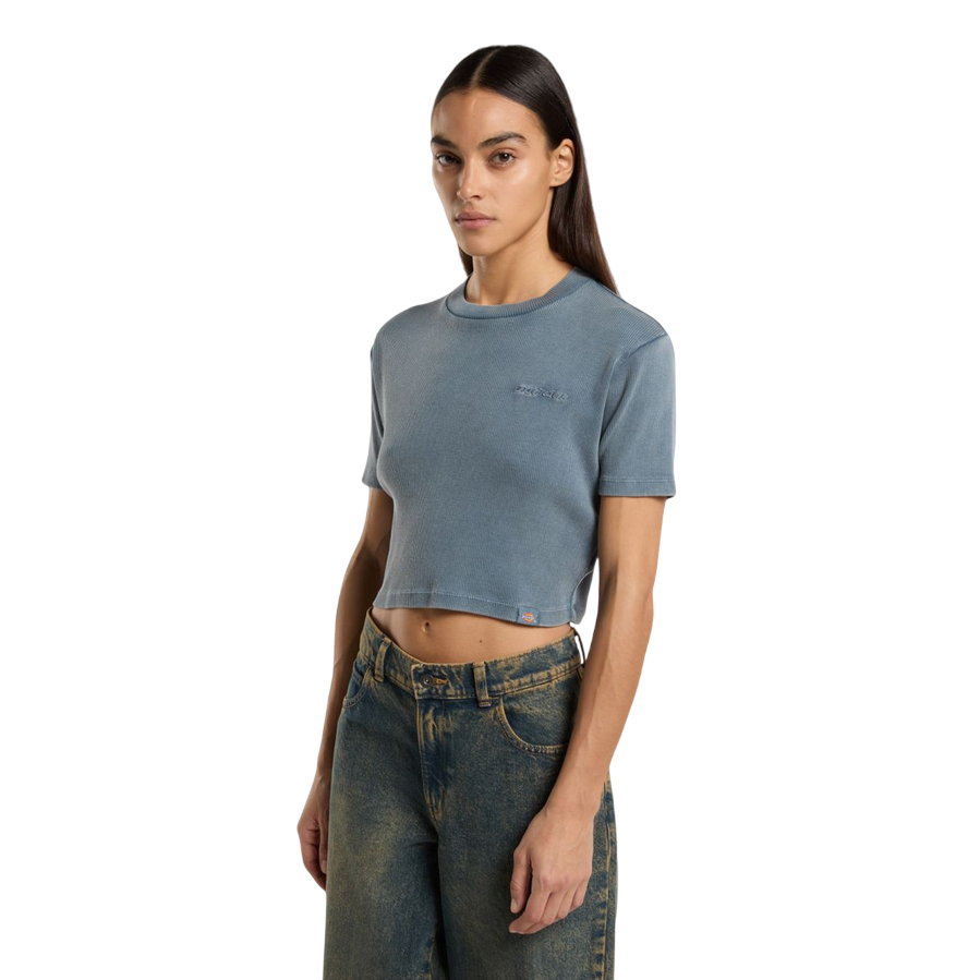 Dickies maglietta manica corta da donna a coste Plentywood DK0A866FG701 nuvole grigie